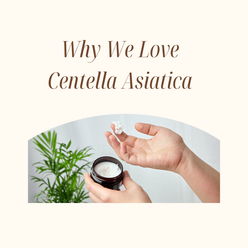 hand holding centella asiatica cream 