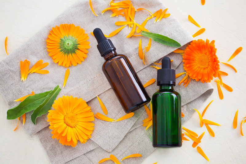 marigold extract supplier marigold extract supplier