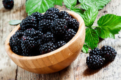 Mulberry powder discount benefits for skin