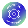 Antioxidant Icon