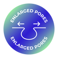 Enlarged pores icon 3