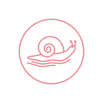 Snail Mucin/Filtrate